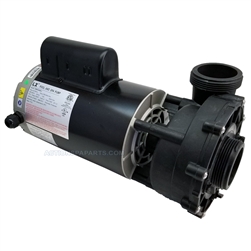 Pump Assembly, LX, Baseless, 56FR, 230V, 1SP, 4.0HP, 12, 2"