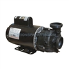 Spa Pump, Dura-Jet (DJ), 230V, 1SP, 56FR, 2.0HP