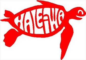 Haleiwa Honu