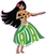 Kauai Hula Girl Printed