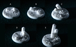 Crystal Field Resin Scenic Miniatures Bases 40mm