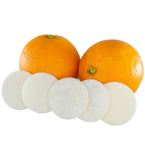 Citrus Diaper Pail Deodorizer Discs (10 pack)