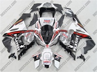 Kawasaki ZX6R Playboy Fairings