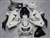 Pearl White Ninja 250R Fairings