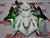 Yamaha YZF-R1 White/Metallic Green Fairings