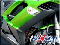 Kawasaki Ninja 1000 Frame Slider