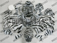 Airbrushed Motorcycle Fairing