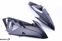 BMW S1000RR Carbon Fiber Side Fairings