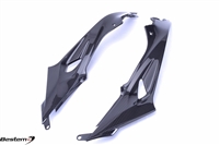 BMW S1000RR Carbon Fiber Tank Side Fairings