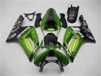 Kawasaki ZX6R Race Fairings