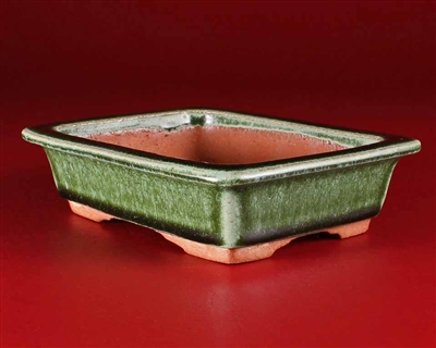 Youzan, Tokoname bonsai pot - Artist ; Shimizu Masakasu