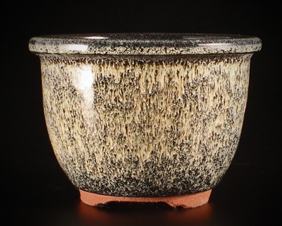 Youzan, (Eimei)Tokoname bonsai pot - Artist ; Shimizu Hideaki