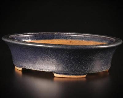 Hattori, Tokoname bonsai pot-Artist Hattori Tomoyuki