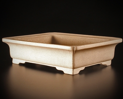 Shibakatsu, Tokoname bonsai pot -  Artist, Shibata Shouichi