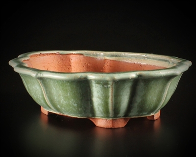 Youzan, (Eimei)Tokoname bonsai pot - Artist ; Shimizu Hideaki