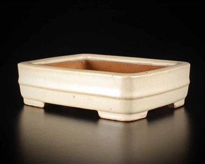 Shibakatsu, Tokoname bonsai pot -  Artist, Shibata Shouichi