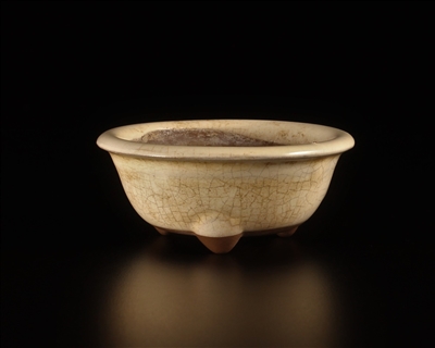 KUSAMONO (ACCENT) POTS