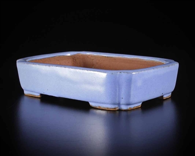 Shibakatsu, Tokoname bonsai pot -  Artist, Shibata Shouichi