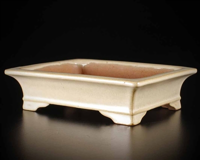 Shibakatsu, Tokoname bonsai pot -  Artist, Shibata Shouichi