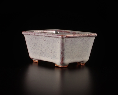 Hattori, Tokoname bonsai pot-Artist Hattori Tomoyuki