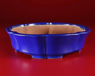 Shibakatsu, Tokoname bonsai pot - Artist, Shibata Shouichi