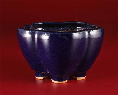 Hattori, Tokoname bonsai pot-Artist Hattori Tomoyuki