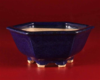 Hattori, Tokoname bonsai pot-Artist Hattori Tomoyuki