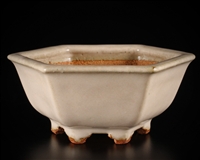 Hattori, Tokoname bonsai pot-Artist Hattori Tomoyuki