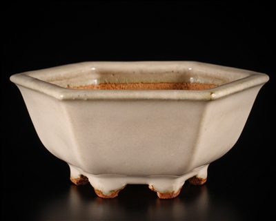 Hattori, Tokoname bonsai pot-Artist Hattori Tomoyuki