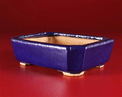 Hattori, Tokoname bonsai pot-Artist Hattori Tomoyuki