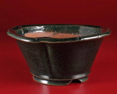 Yoshimura,Tokoname bonsai pot- Artist - Masters Syuho