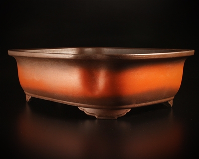 Tokoname bonsai pot