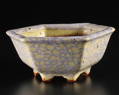 Hattori, Tokoname bonsai pot-Artist Hattori Tomoyuki