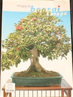 Bonsai Europe