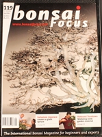 Bonsai Focus