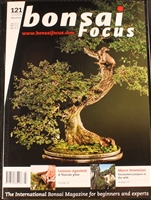 Bonsai Focus