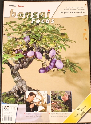 Bonsai Focus