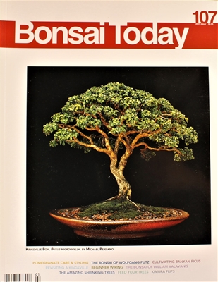 Bonsai Today