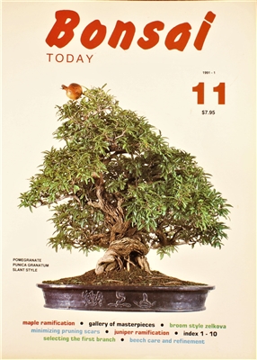 Bonsai Today