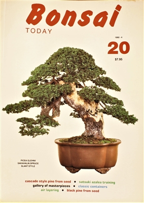 Bonsai Today