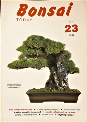 Bonsai Today