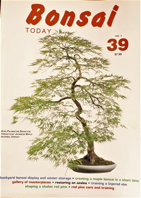 Bonsai Today