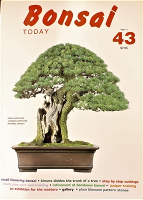 Bonsai Today