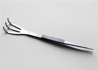 STAINLESS STEEL RAKE WITH TWEEZERS