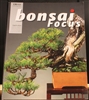 Bonsai Focus