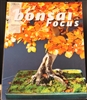 Bonsai Focus