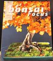 Bonsai Focus