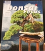 Bonsai Focus