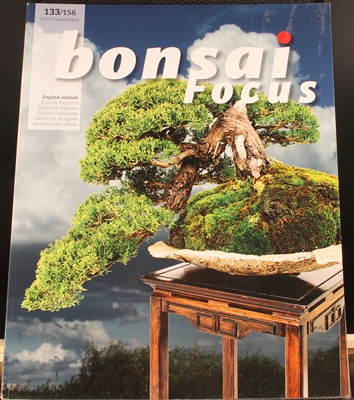 Bonsai Focus