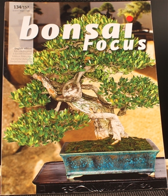 Bonsai Focus